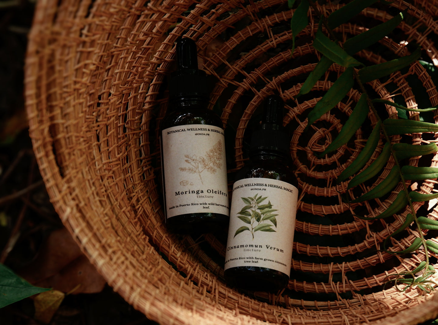 Cinnamon leaf tincture