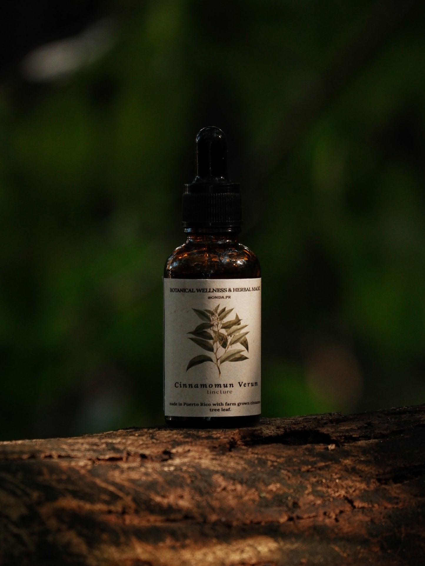 Cinnamon leaf tincture