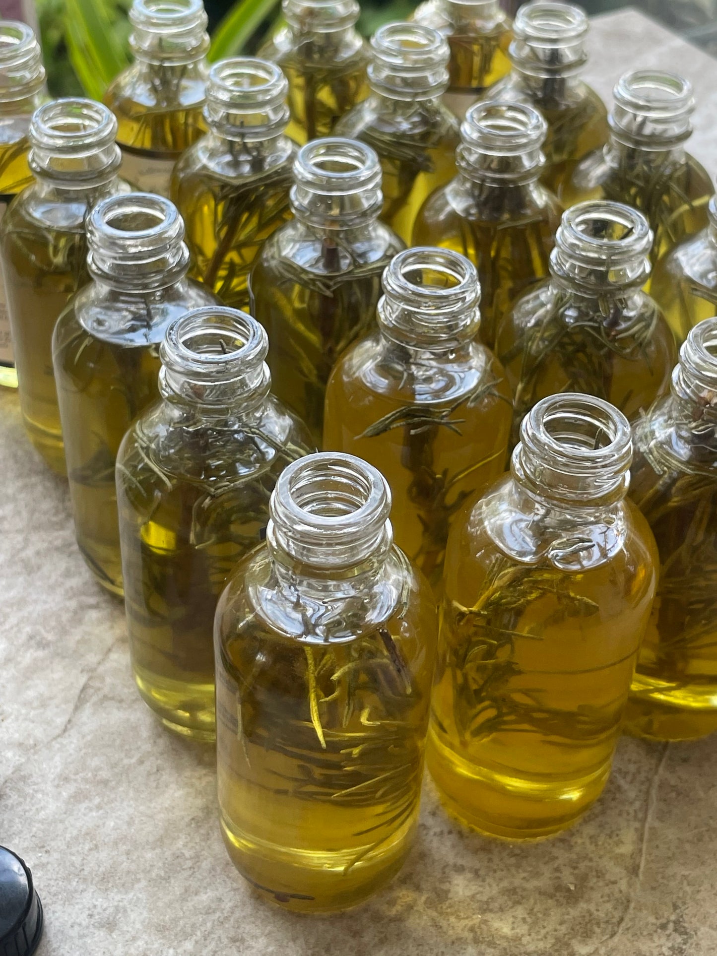 Wild Mane Hair Oil