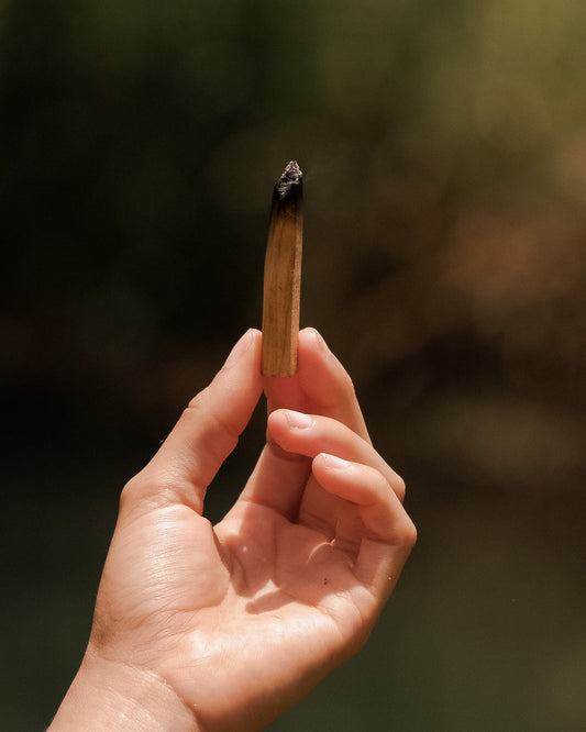 Sustainable Palo Santo